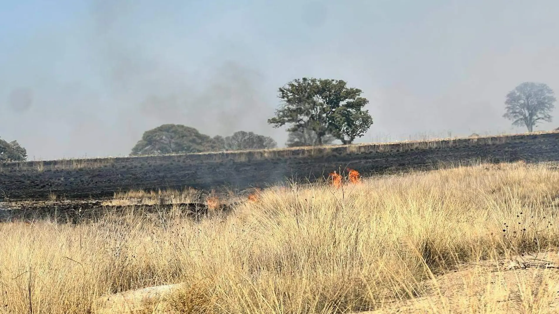 Incendios amealco